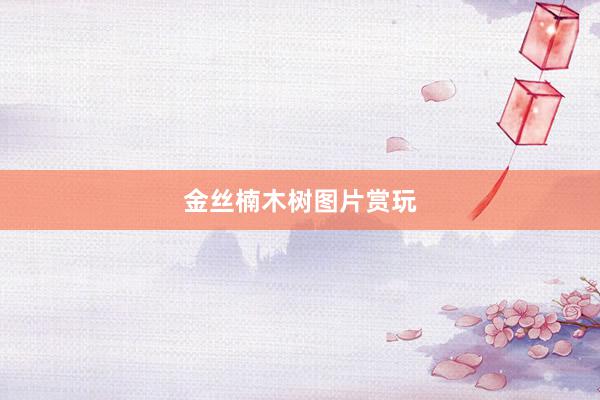 金丝楠木树图片赏玩