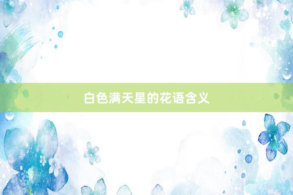 白色满天星的花语含义