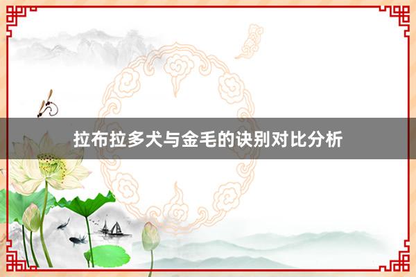 拉布拉多犬与金毛的诀别对比分析