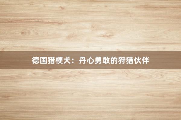 德国猎梗犬：丹心勇敢的狩猎伙伴